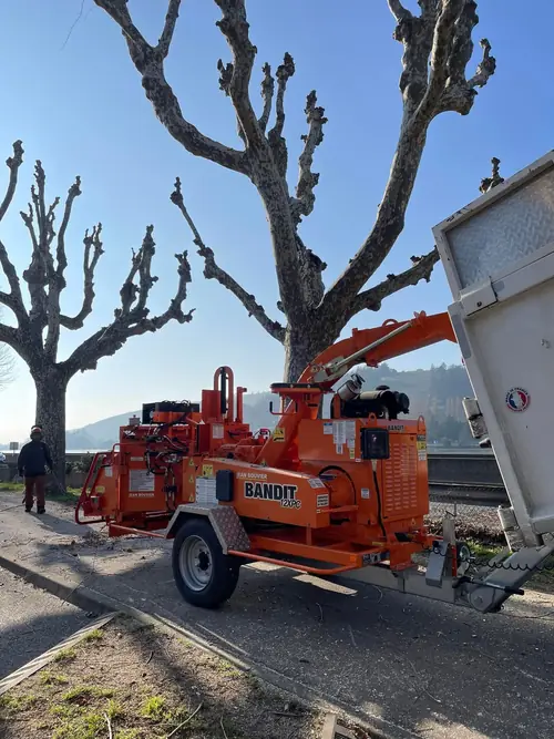 Broyage des branches sur le chantier