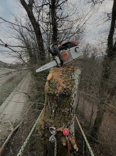 Tronçonneuse posée sur un tronc démonté, cordes de rétention